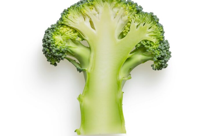 green broccoli on white background